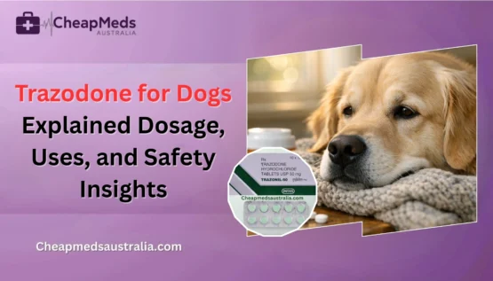 Trazodone for Dogs Explained: Dosage, Uses, and Safety Insights