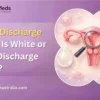 Vaginal Discharge