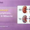 Cysts on Kidneys